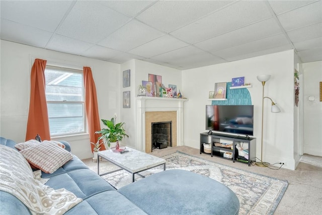 carpeted living room featuring a fireplace, baseboards, and a drop ceiling