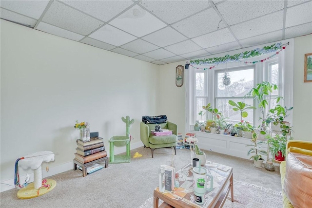 carpeted living area with a drop ceiling and baseboards