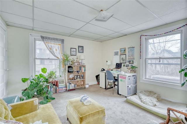 carpeted office space with a paneled ceiling