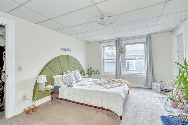 carpeted bedroom featuring a spacious closet, a drop ceiling, baseboards, and a closet