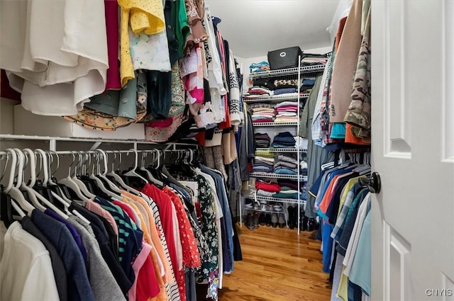 spacious closet featuring wood finished floors