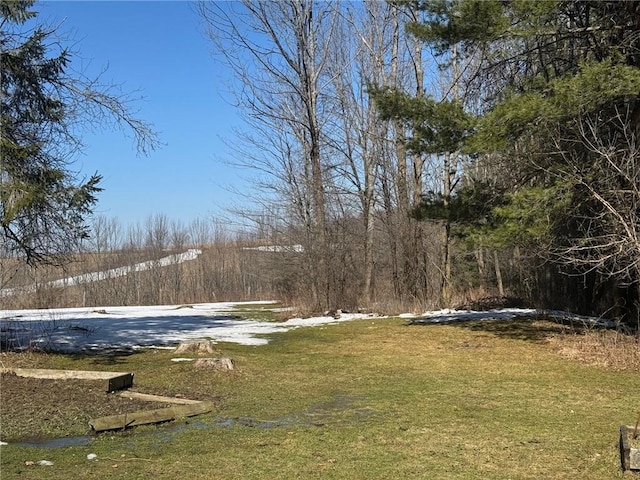 view of yard with a wooded view