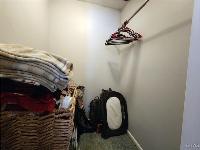 spacious closet featuring carpet flooring