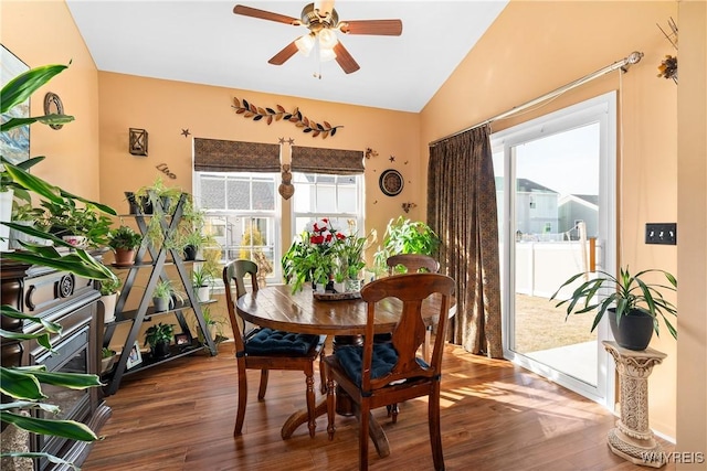 dining space with a healthy amount of sunlight, lofted ceiling, ceiling fan, and wood finished floors