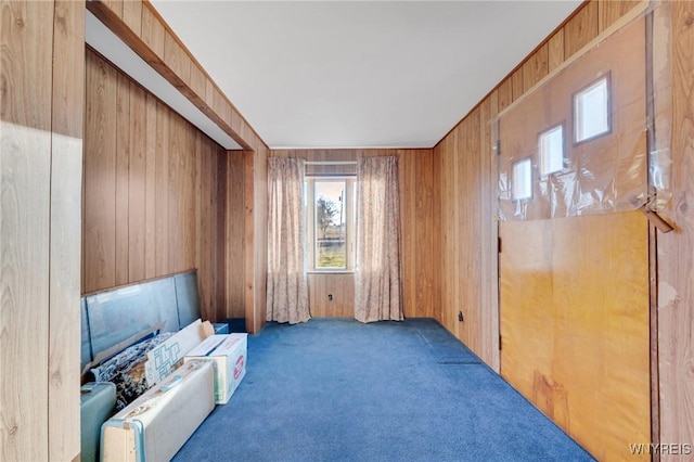 sitting room with wooden walls and carpet floors