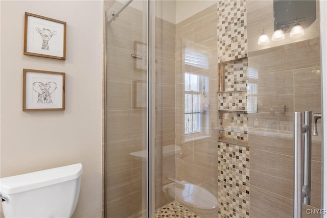 full bathroom with toilet and a stall shower