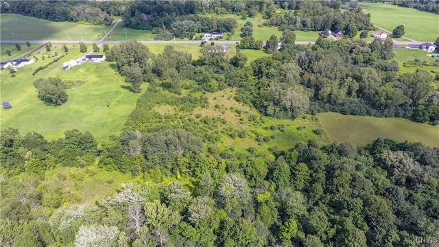 birds eye view of property with a view of trees