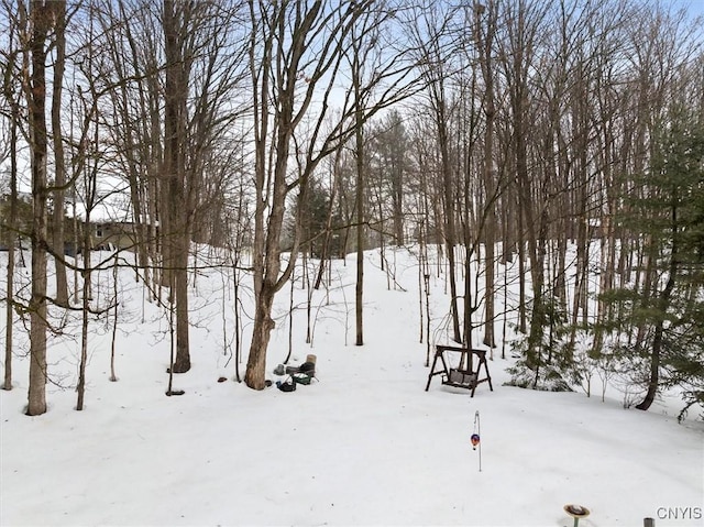 view of yard layered in snow