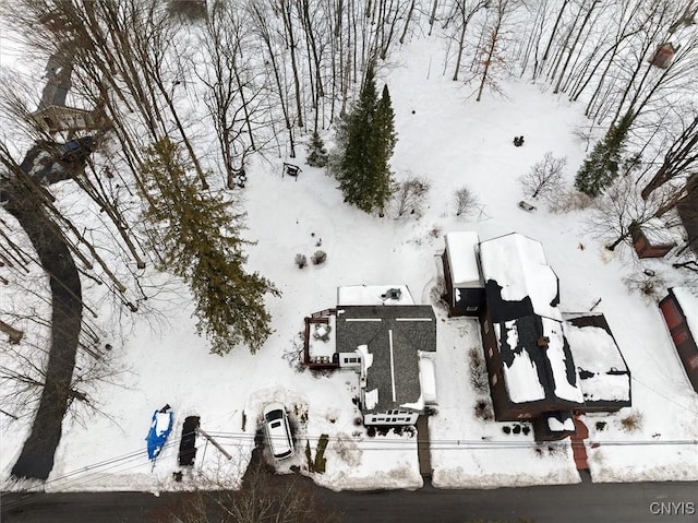 view of snowy aerial view