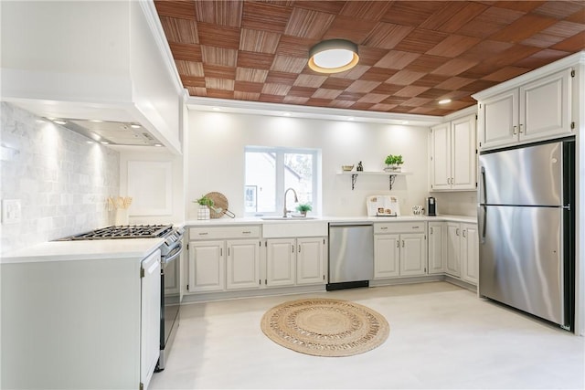 kitchen with a sink, light countertops, premium range hood, and stainless steel appliances