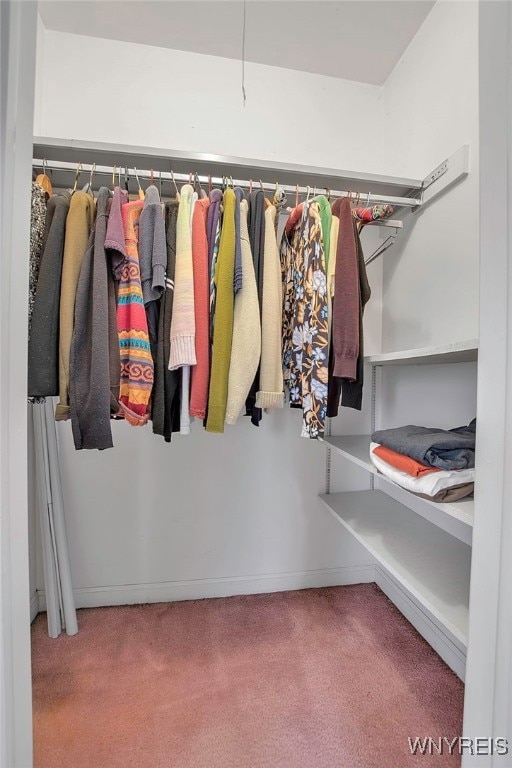 spacious closet featuring carpet flooring