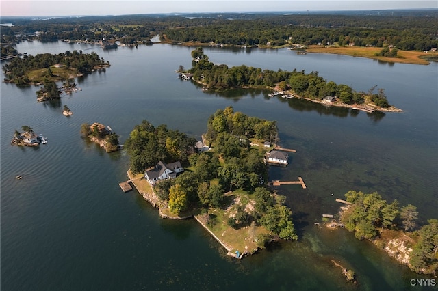 birds eye view of property with a wooded view and a water view