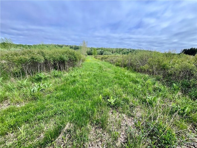 37224 County Route 4, Clayton, NY 13624 - photo 11