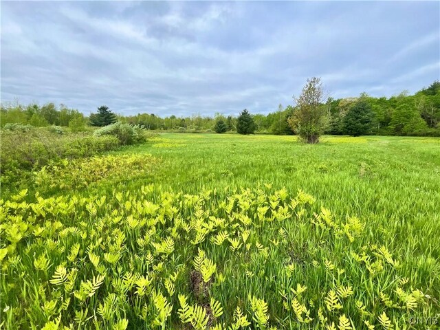 37224 County Route 4, Clayton, NY 13624 - photo 12