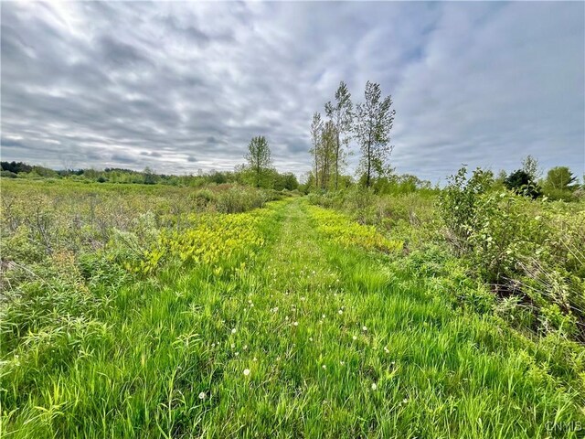 37224 County Route 4, Clayton, NY 13624 - photo 16