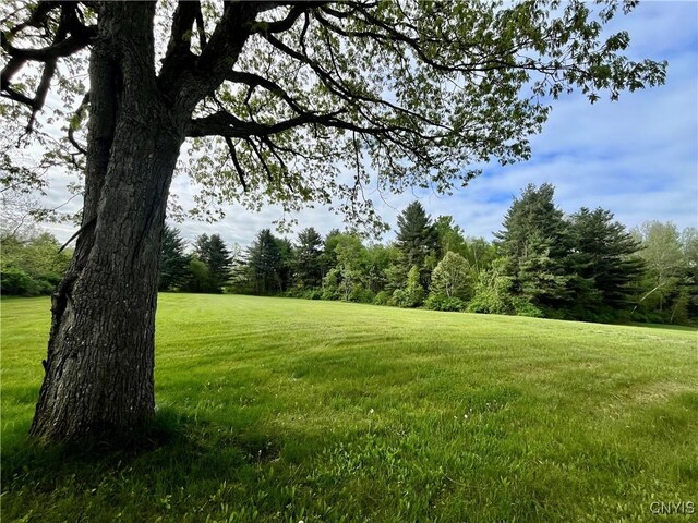 37224 County Route 4, Clayton, NY 13624 - photo 21
