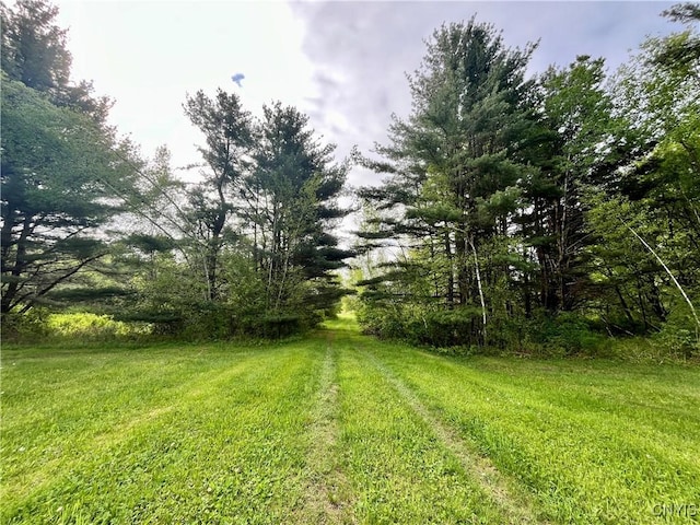 37224 County Route 4, Clayton, NY 13624 - photo 22