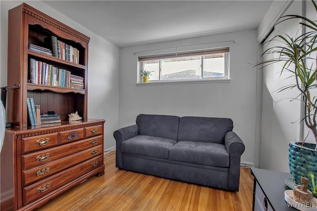 sitting room with light wood-type flooring