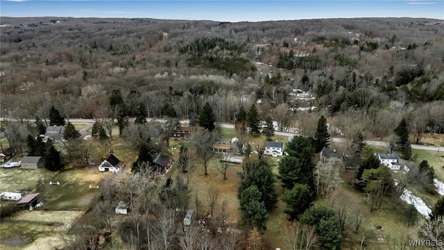 bird's eye view featuring a view of trees