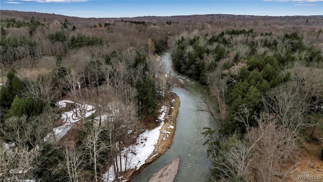 drone / aerial view featuring a forest view