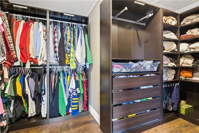 walk in closet with wood finished floors