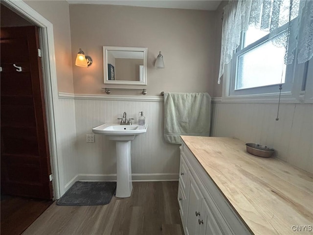 bathroom with a sink, wainscoting, and wood finished floors