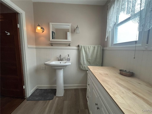 bathroom with wood finished floors, a wainscoted wall, and a sink