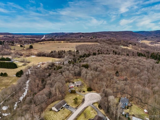 aerial view featuring a mountain view