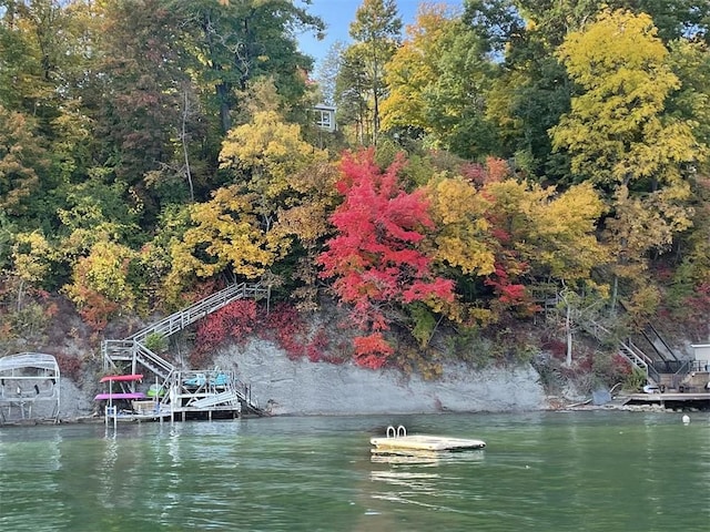 view of dock with a water view and a view of trees