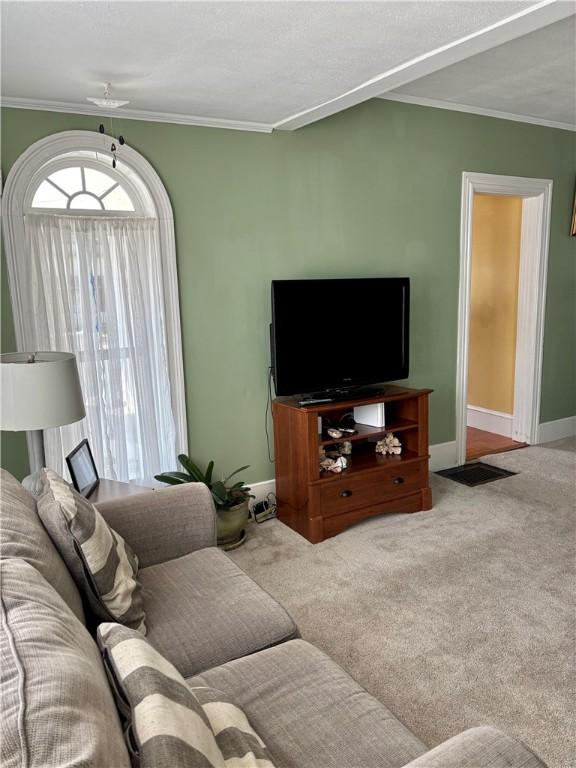 living room with carpet flooring, a ceiling fan, baseboards, and ornamental molding