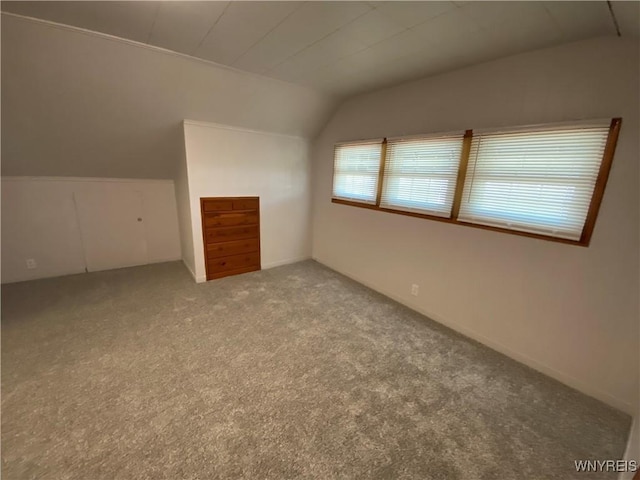 bonus room featuring lofted ceiling and carpet flooring