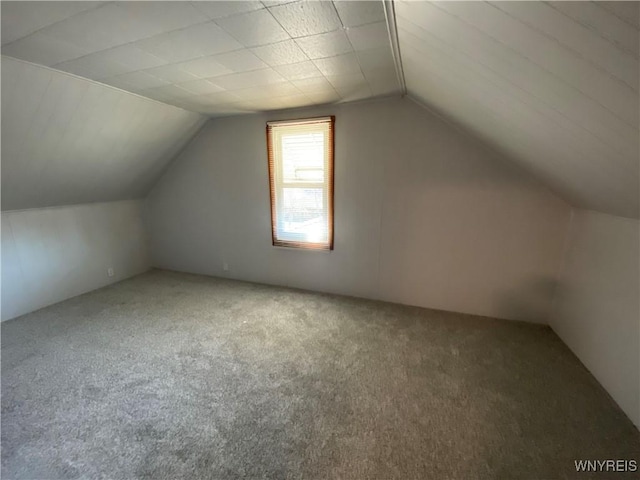 additional living space with lofted ceiling and carpet flooring