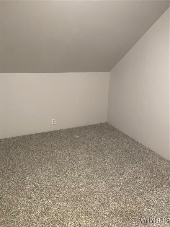 additional living space featuring carpet flooring and vaulted ceiling