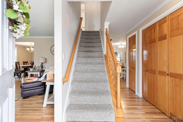 staircase with wood finished floors, an inviting chandelier, and ornamental molding