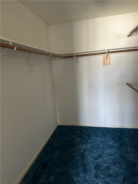 spacious closet featuring carpet