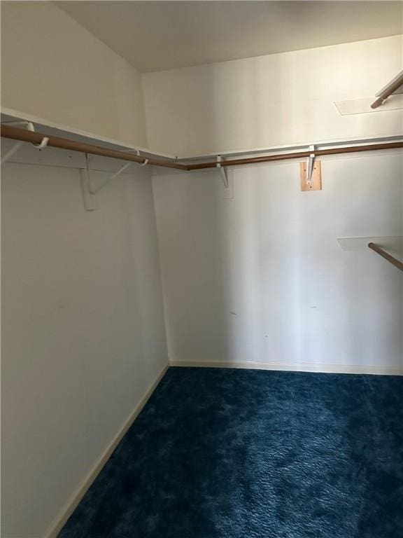 spacious closet featuring carpet floors