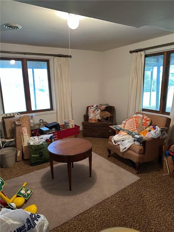 carpeted living room featuring visible vents