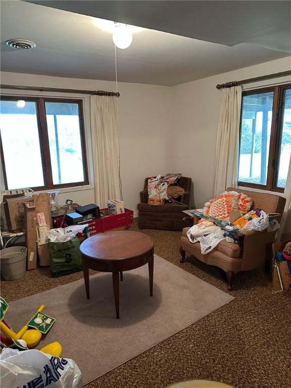carpeted living area with visible vents