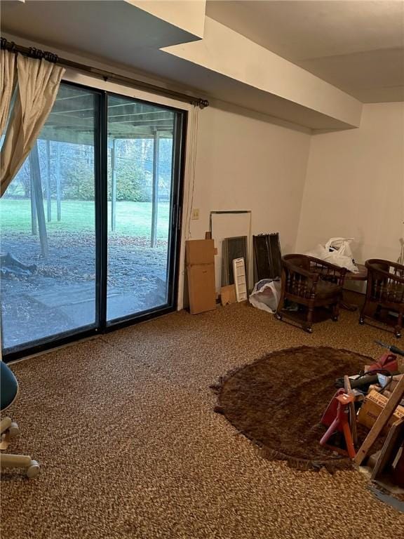 view of carpeted living area