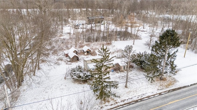 view of snowy aerial view