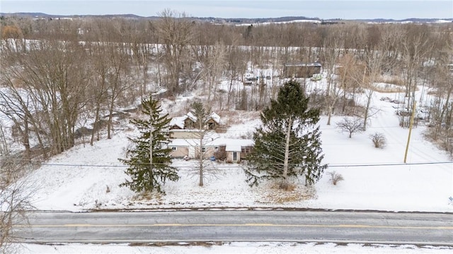 view of snowy aerial view