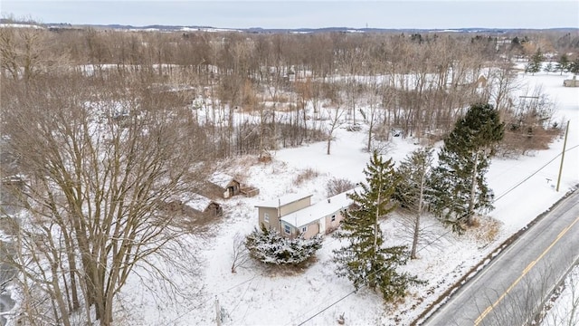 view of snowy aerial view