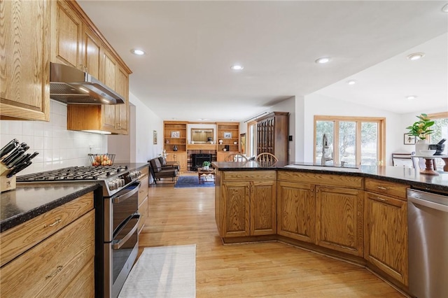 kitchen with under cabinet range hood, a sink, light wood-style floors, appliances with stainless steel finishes, and a fireplace