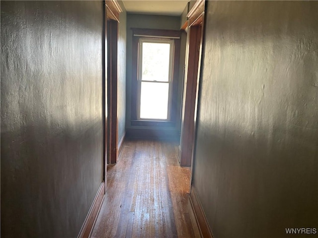 corridor featuring dark wood-type flooring