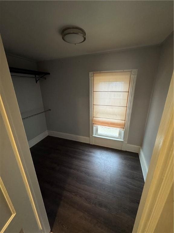 spacious closet featuring dark wood-style floors