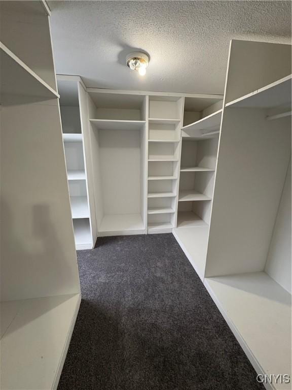 spacious closet with dark carpet