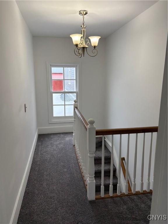 stairs featuring a notable chandelier, baseboards, and carpet floors