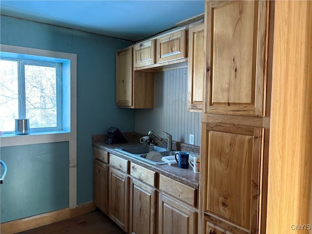 kitchen featuring a sink