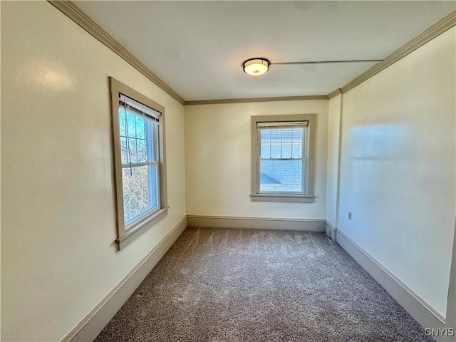 unfurnished room featuring baseboards, carpet floors, and ornamental molding