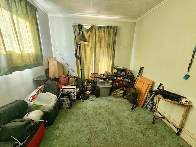 interior space with crown molding and carpet floors